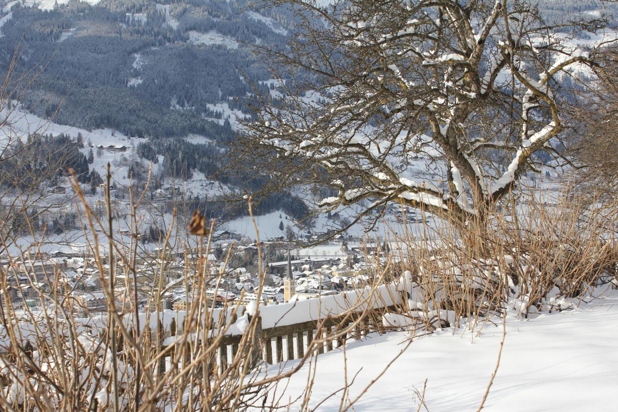 Bauernhof Grussberggut Villa Bad Hofgastein Eksteriør bilde